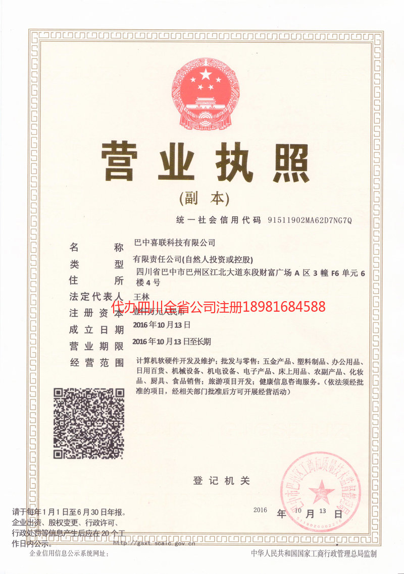 陆丰陆丰喜联科技有限公司