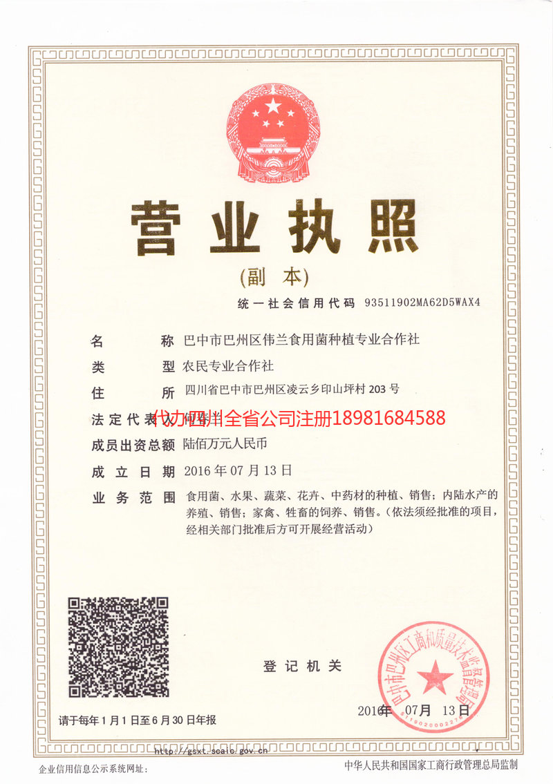 陆丰陆丰伟兰食用菌种植专业合作社